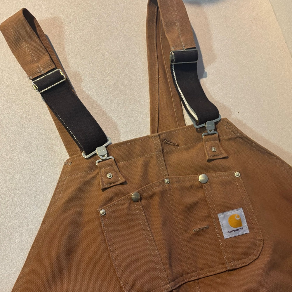 Men’s Carhartt insulated coveralls. Gently worn